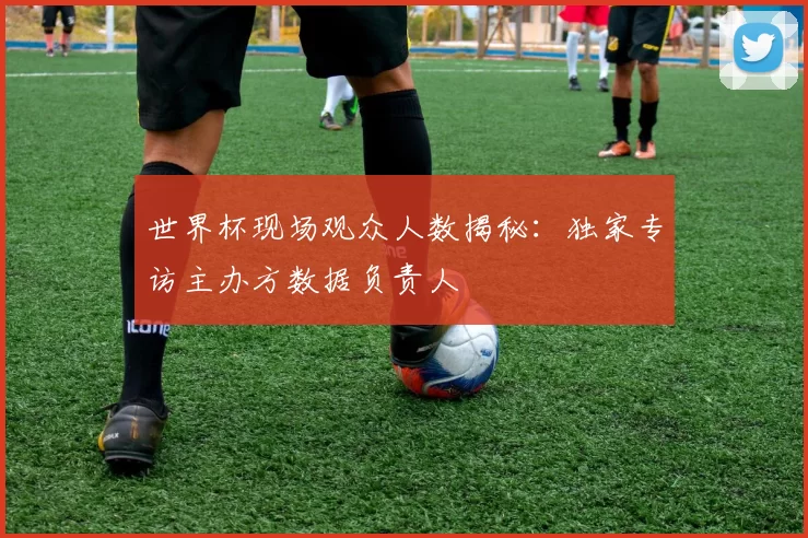 世界杯现场观众人数揭秘:独家专访主办方数据负责人