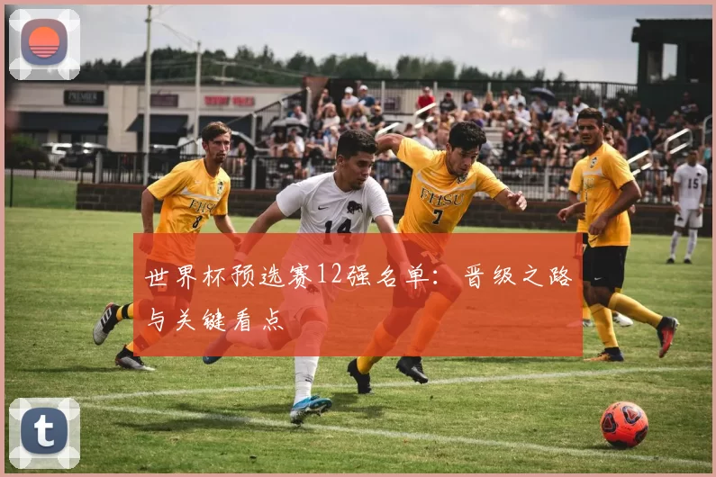 世界杯预选赛12强名单:晋级之路与关键看点