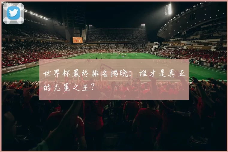 世界杯最终排名揭晓:谁才是真正的无冕之王?