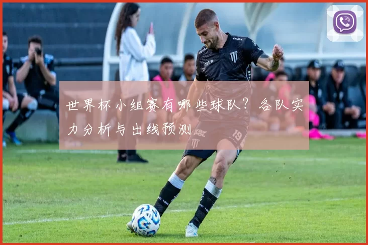 世界杯小组赛有哪些球队?各队实力分析与出线预测