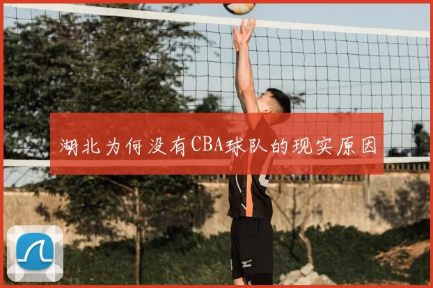 湖北为何没有CBA球队的现实原因