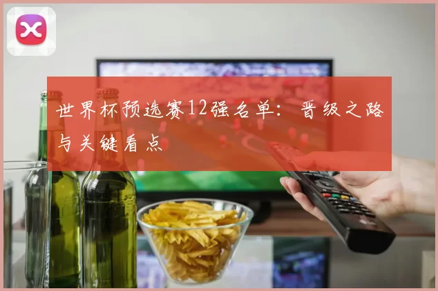 世界杯预选赛12强名单:晋级之路与关键看点