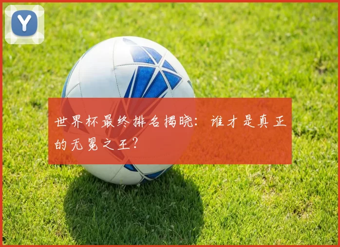 世界杯最终排名揭晓:谁才是真正的无冕之王?
