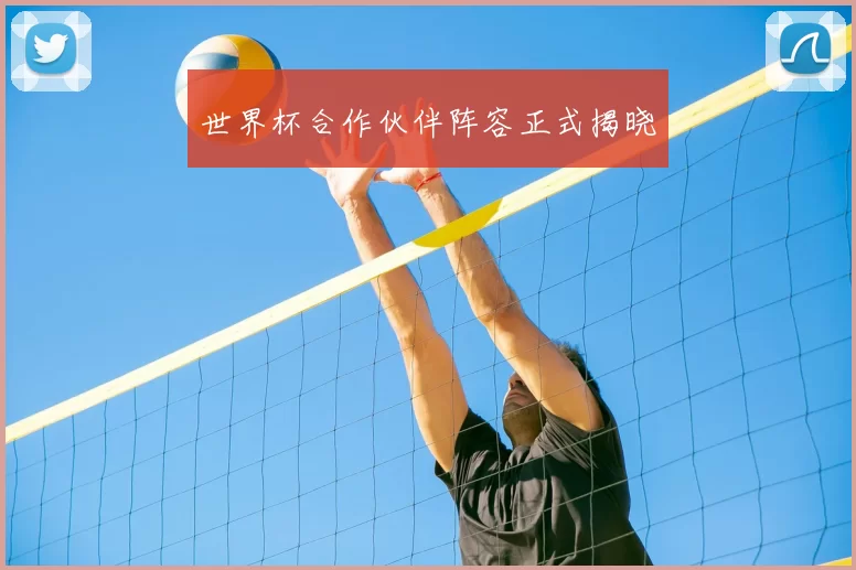 世界杯合作伙伴阵容正式揭晓