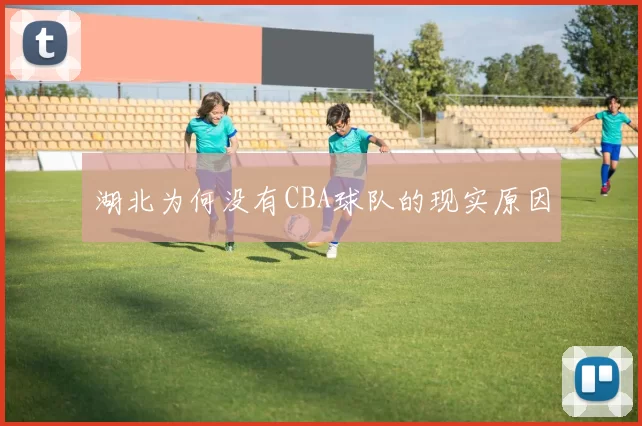 湖北为何没有CBA球队的现实原因