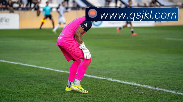 华体会发展历程